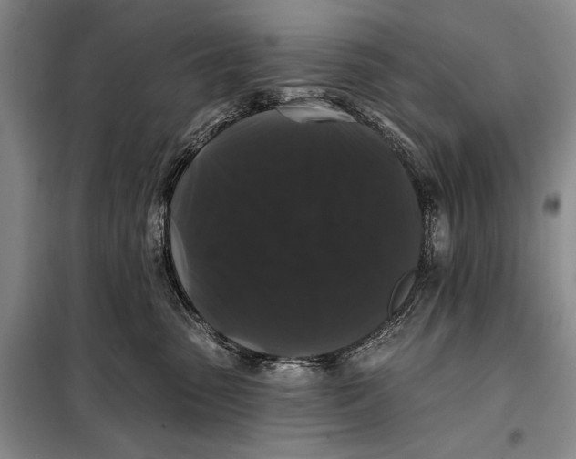 X0000098010475200804181140