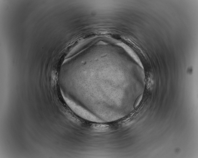 X0000098010476200804181140