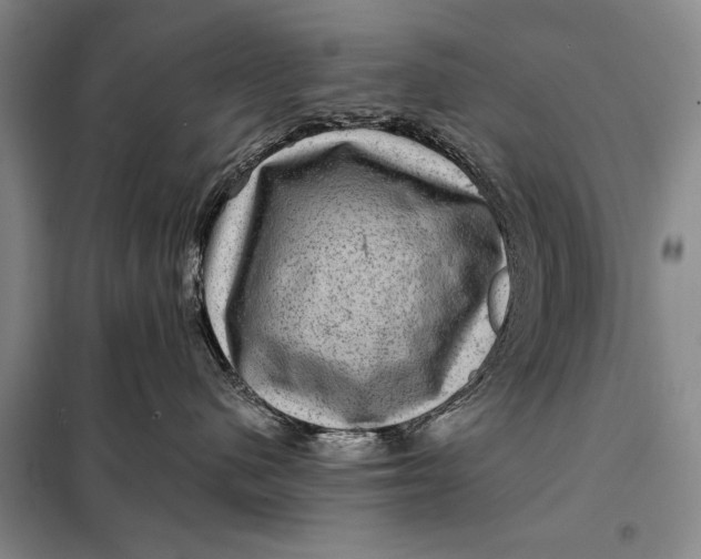 X0000098010480200804181140