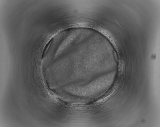 X0000098010481200804181139