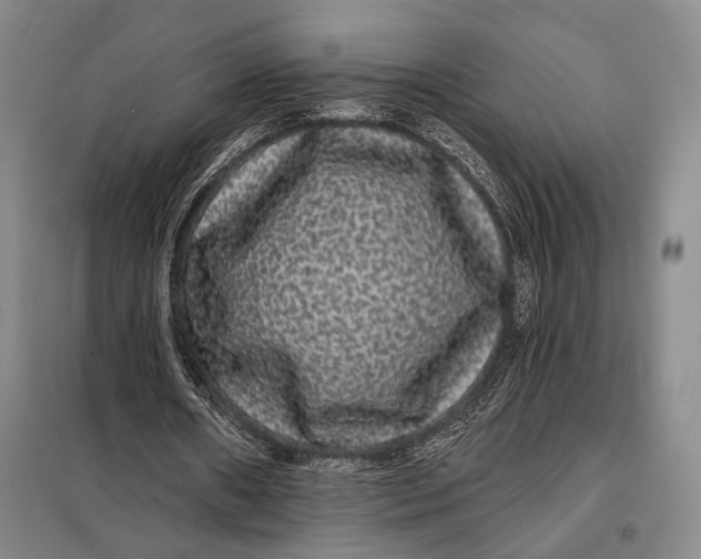 X0000098010482200804181139