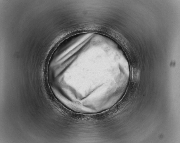 X0000098010483200804181139