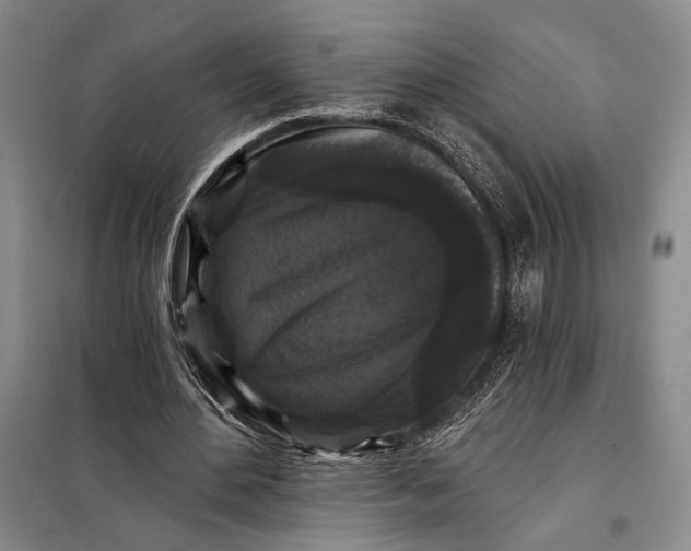 X0000098010484200804181139