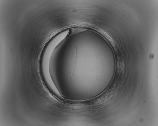 X0000098010485200804181139