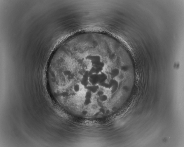 X0000098010487200804181139