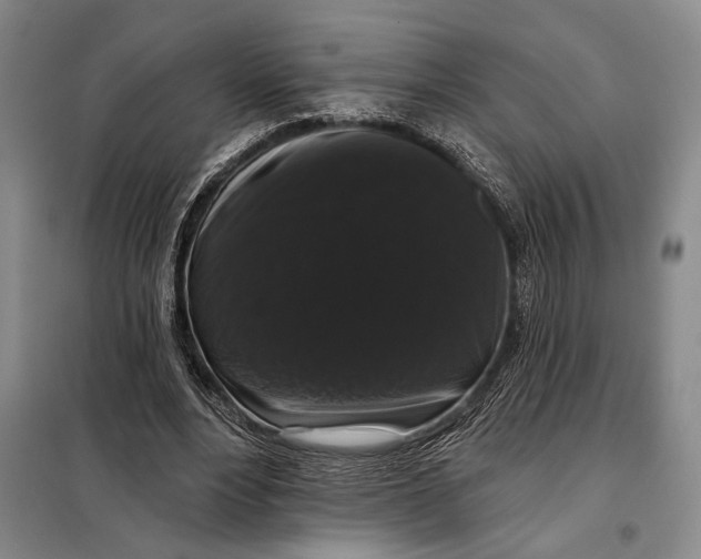 X0000098010488200804181139