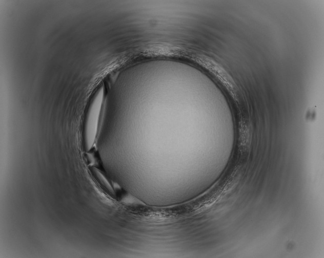 X0000098010489200804181139