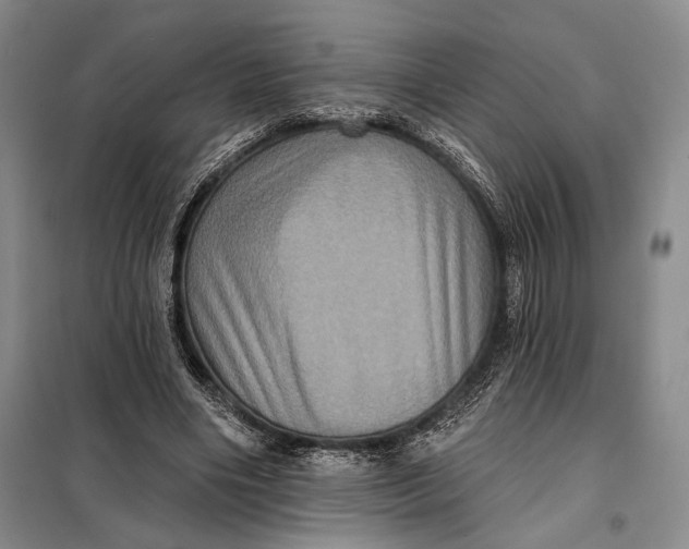 X0000098010490200804181139