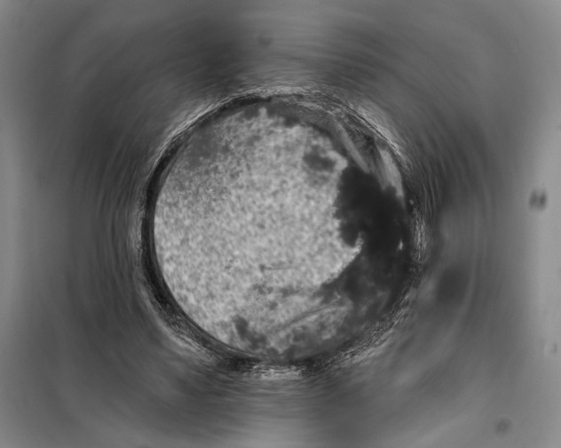 X0000098010491200804181139