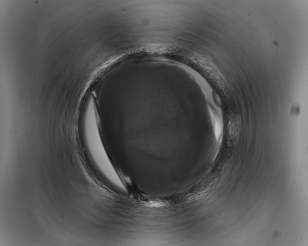 X0000098010492200804181139