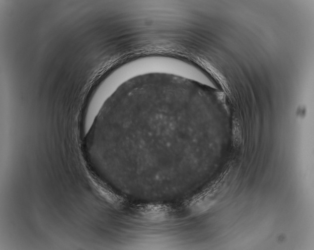 X0000098010493200804181139