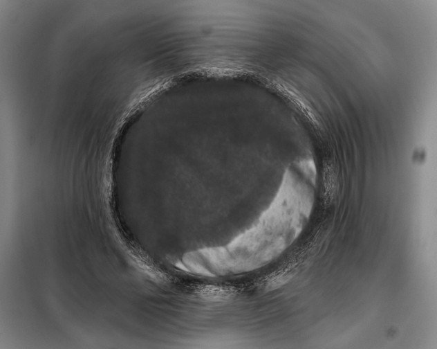 X0000098010494200804181139