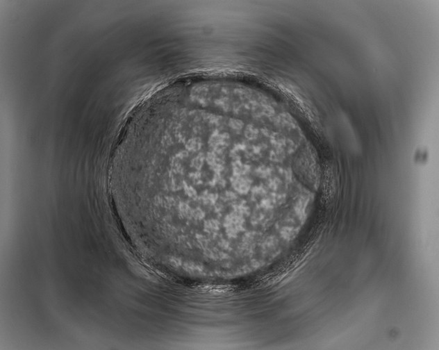 X0000098010495200804181139