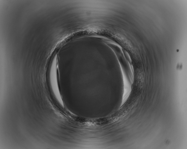 X0000098010496200804181139