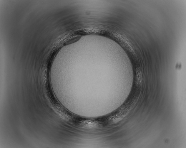 X0000098010498200804181139