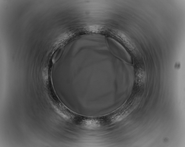 X0000098010500200804181139