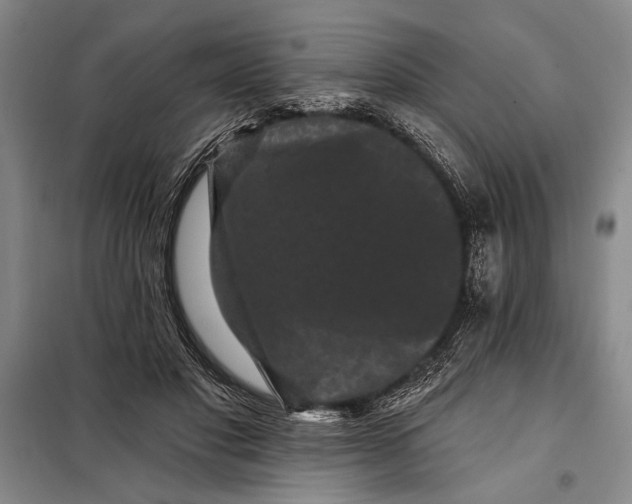 X0000098010501200804181139