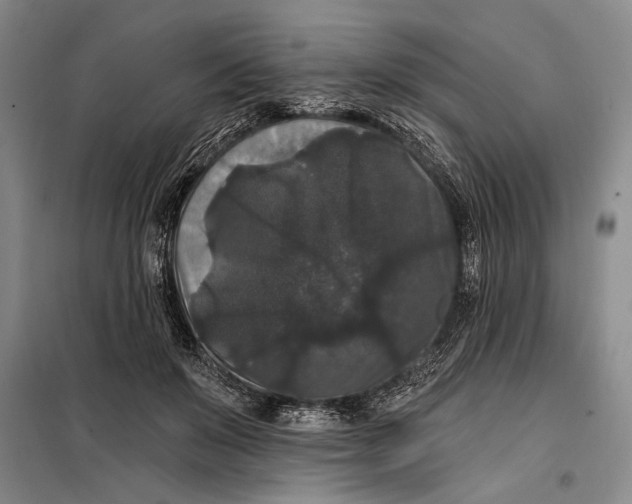 X0000098010503200804181139