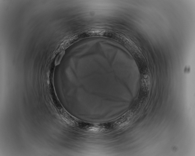 X0000098010504200804181139