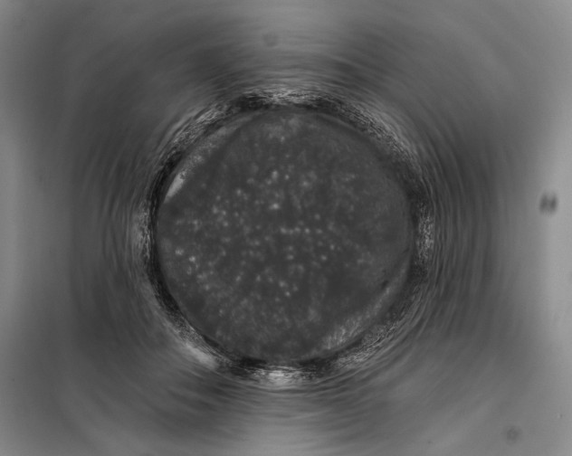 X0000098010506200804181139