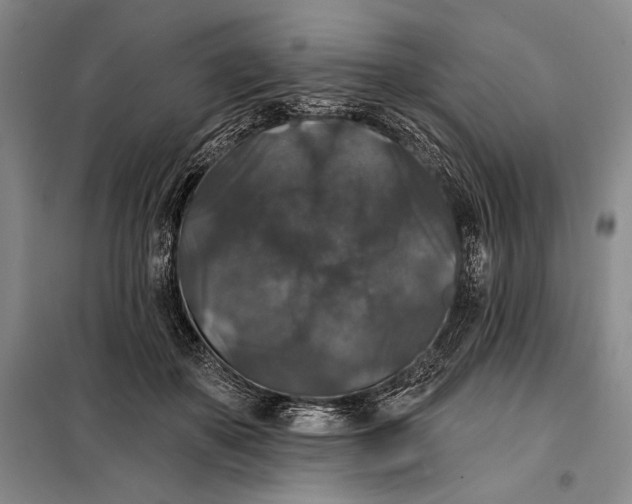 X0000098010507200804181139