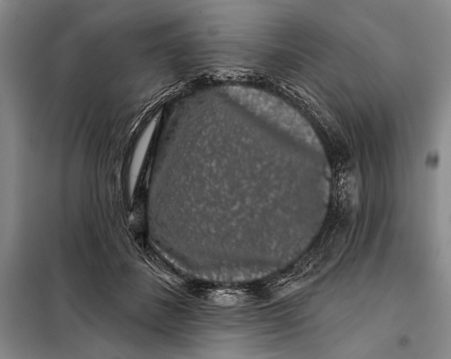 X0000098010508200804181139