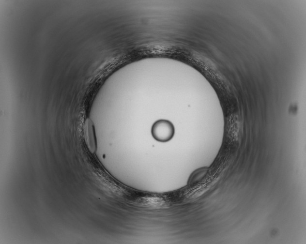 X0000098010509200804181138