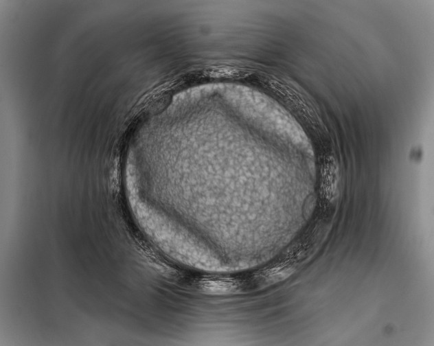 X0000098010510200804181138