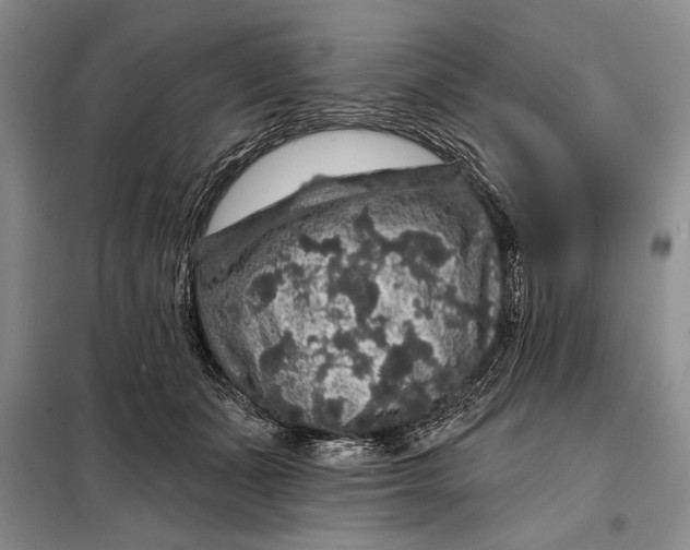 X0000098010511200804181138