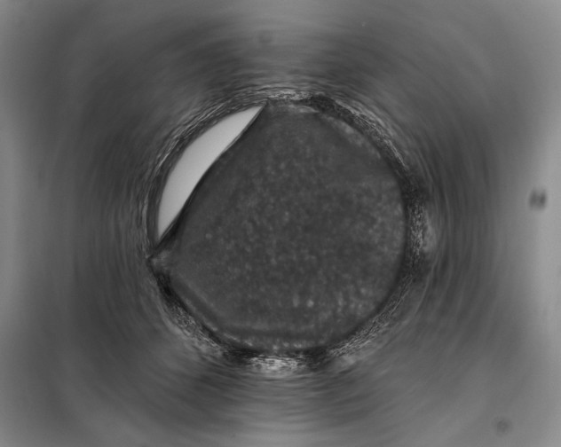 X0000098010512200804181138