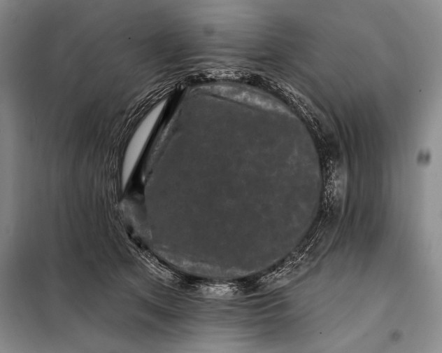 X0000098010513200804181138