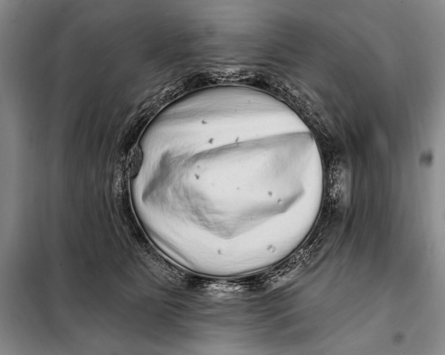 X0000098010515200804181138