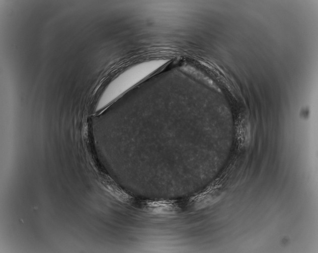 X0000098010516200804181138