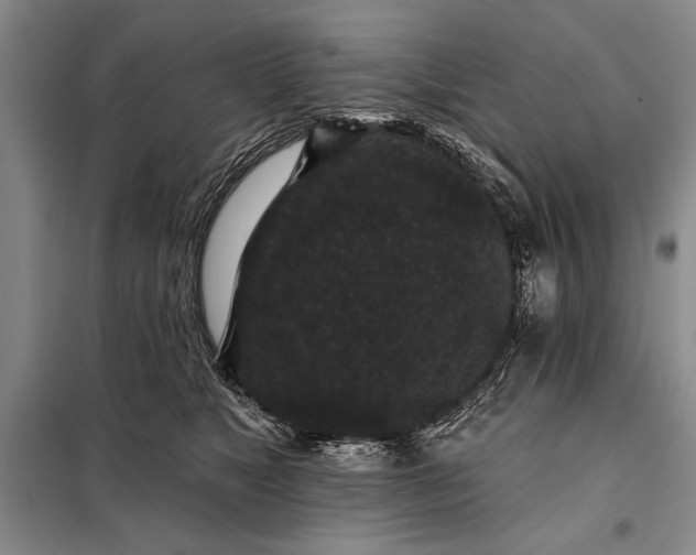 X0000098010517200804181138