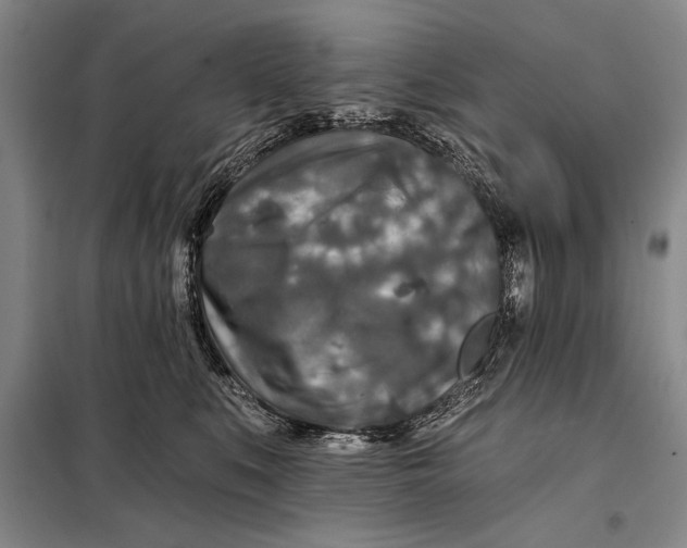 X0000098010519200804181138