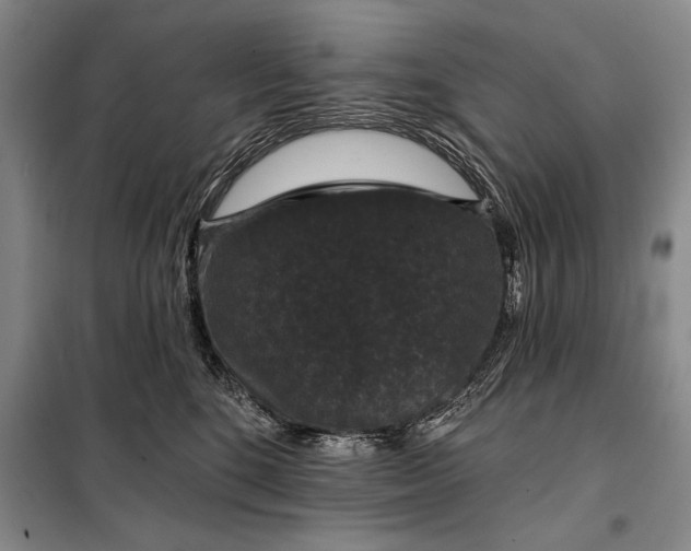 X0000098010520200804181138