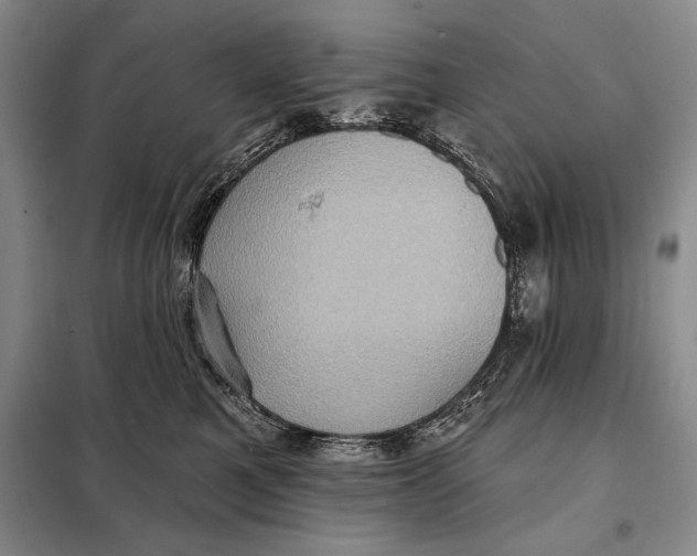 X0000098010521200804181138