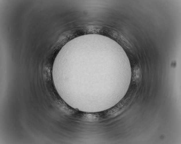 X0000098010522200804181138