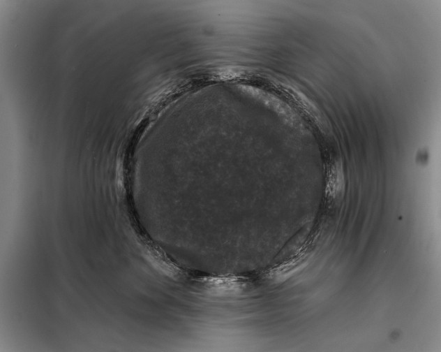 X0000098010524200804181138