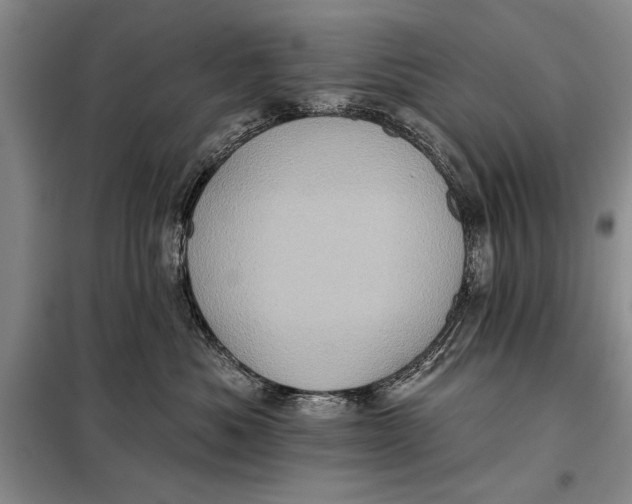 X0000098010525200804181138