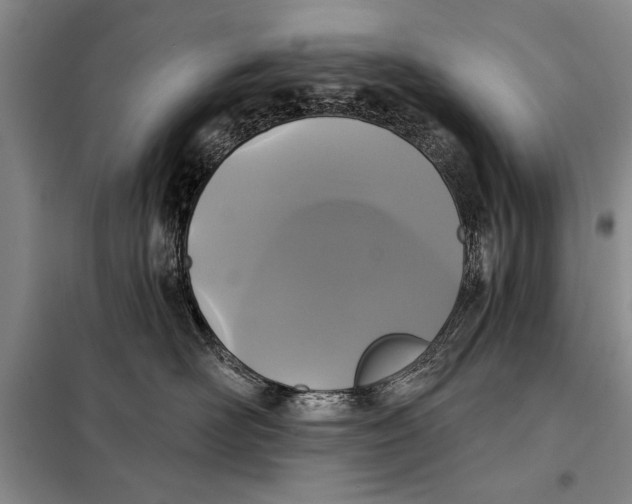 X0000098010526200804181138