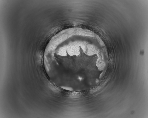 X0000098010527200804181138