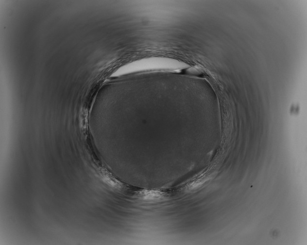 X0000098010528200804181138