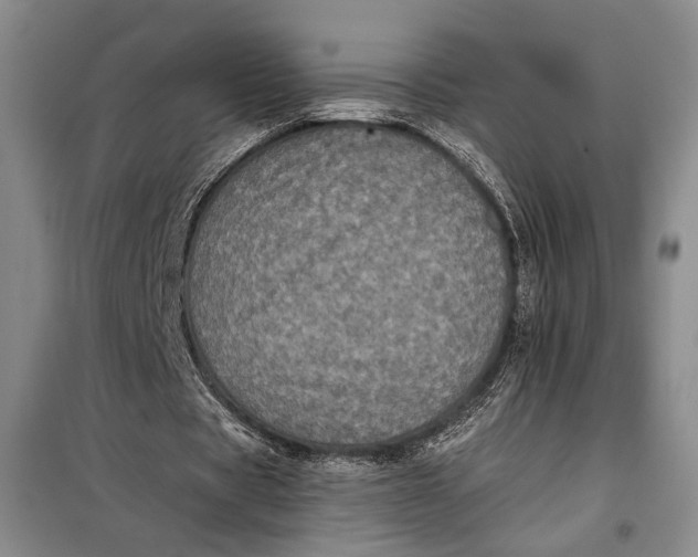 X0000098010529200804181137