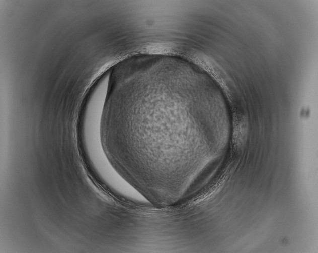 X0000098010530200804181137