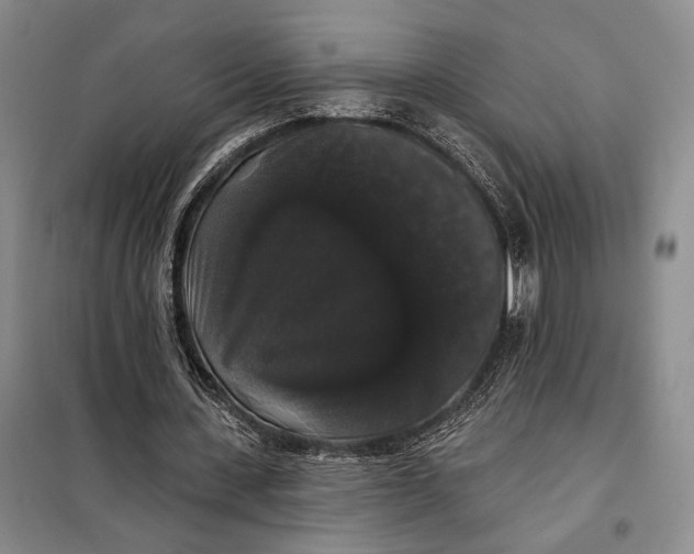 X0000098010531200804181137