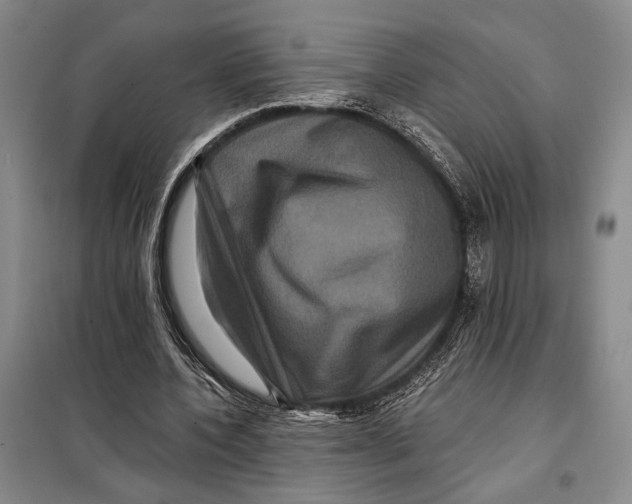 X0000098010532200804181138