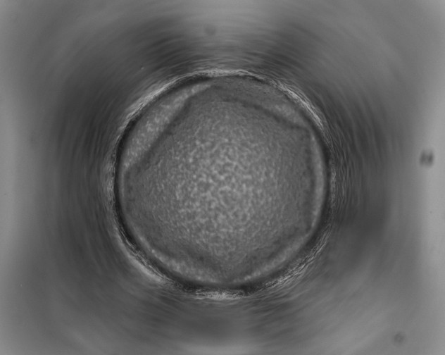 X0000098010533200804181138