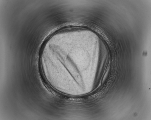 X0000098010534200804181138