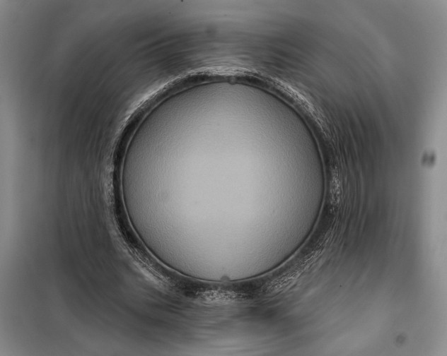 X0000098010535200804181138